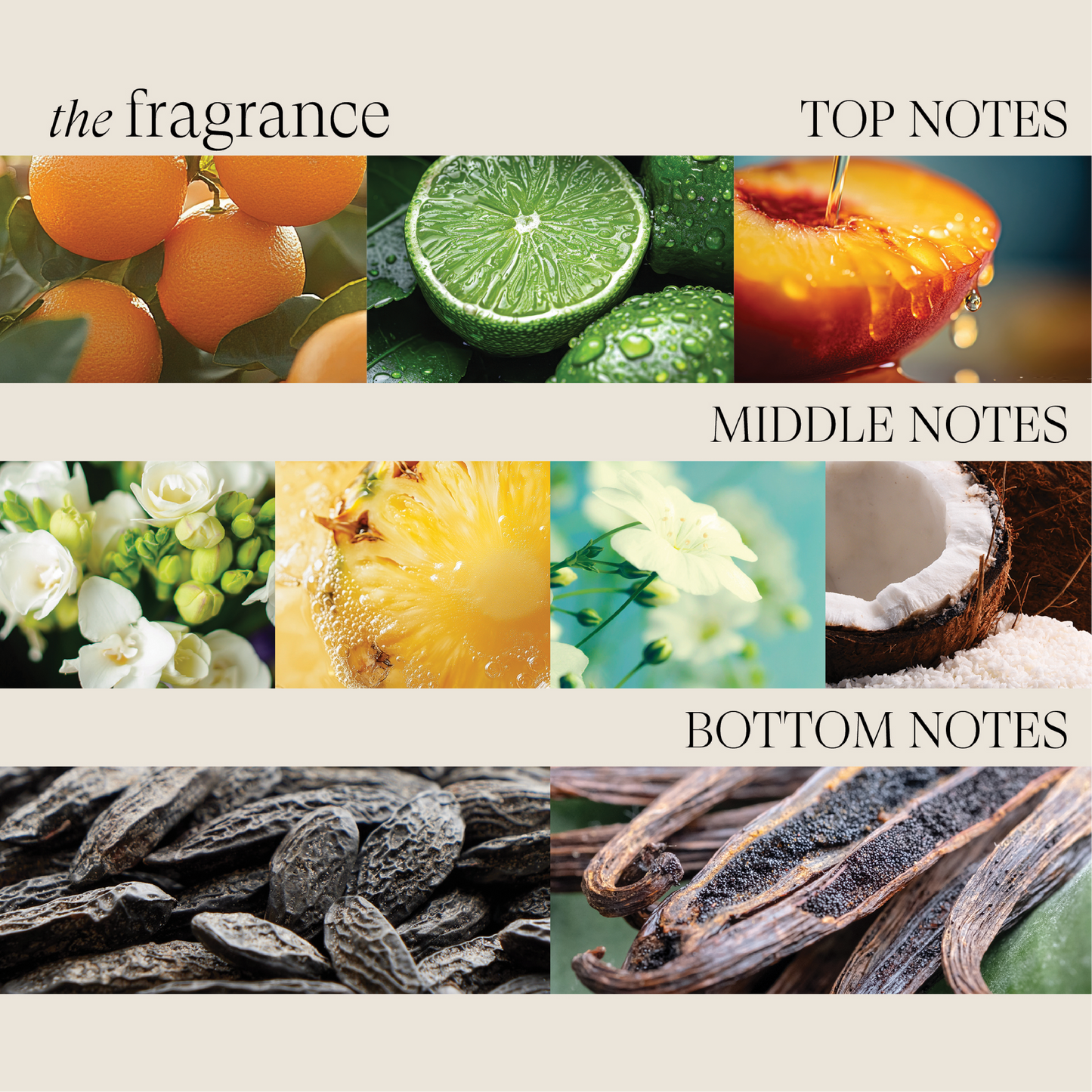 Healing Moisture Conditioner