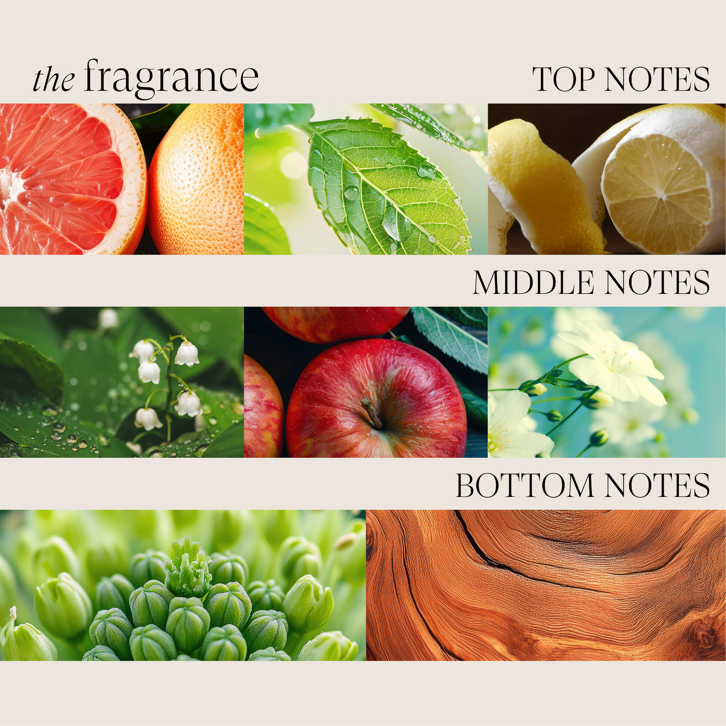 Thickening Treatment Spray