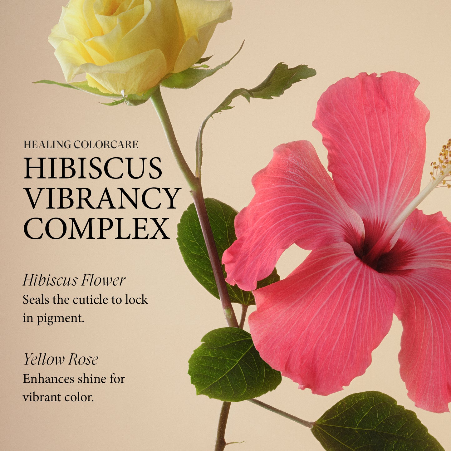 Healing ColorCare On-The-Glow Mini Trios