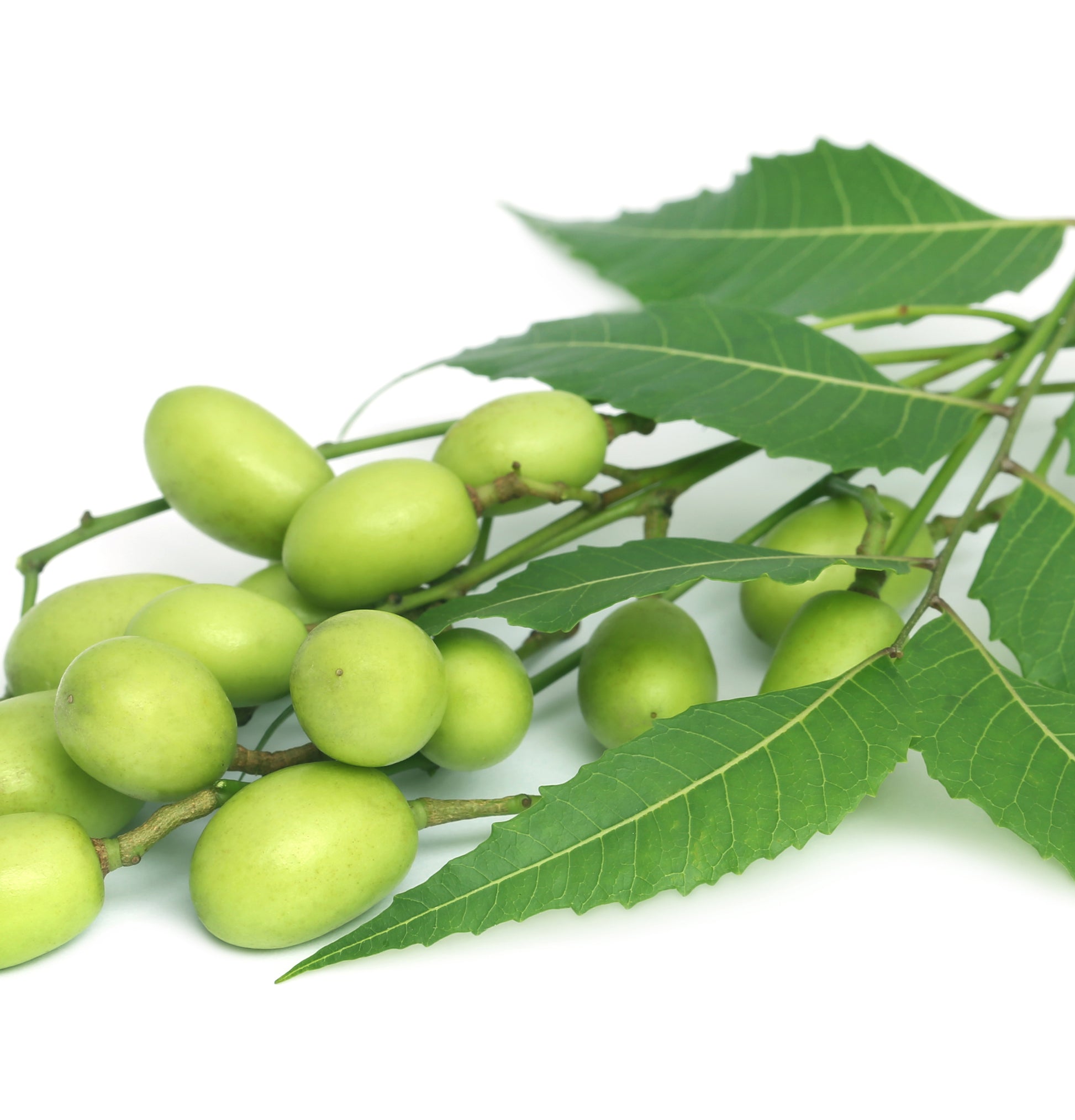 Healing Strength Silk Serum - View 9