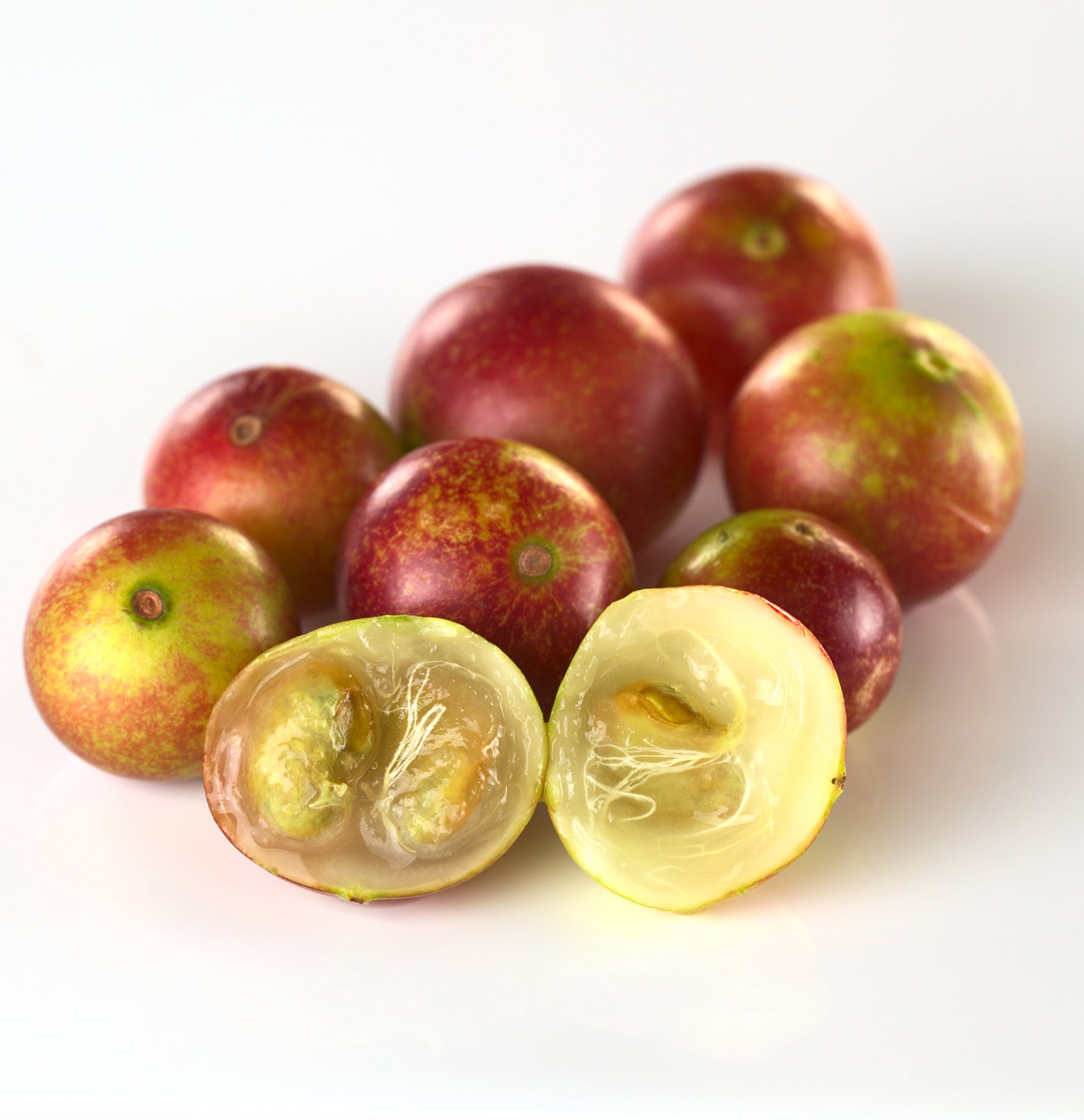 Healing Style	Taffy - View 9