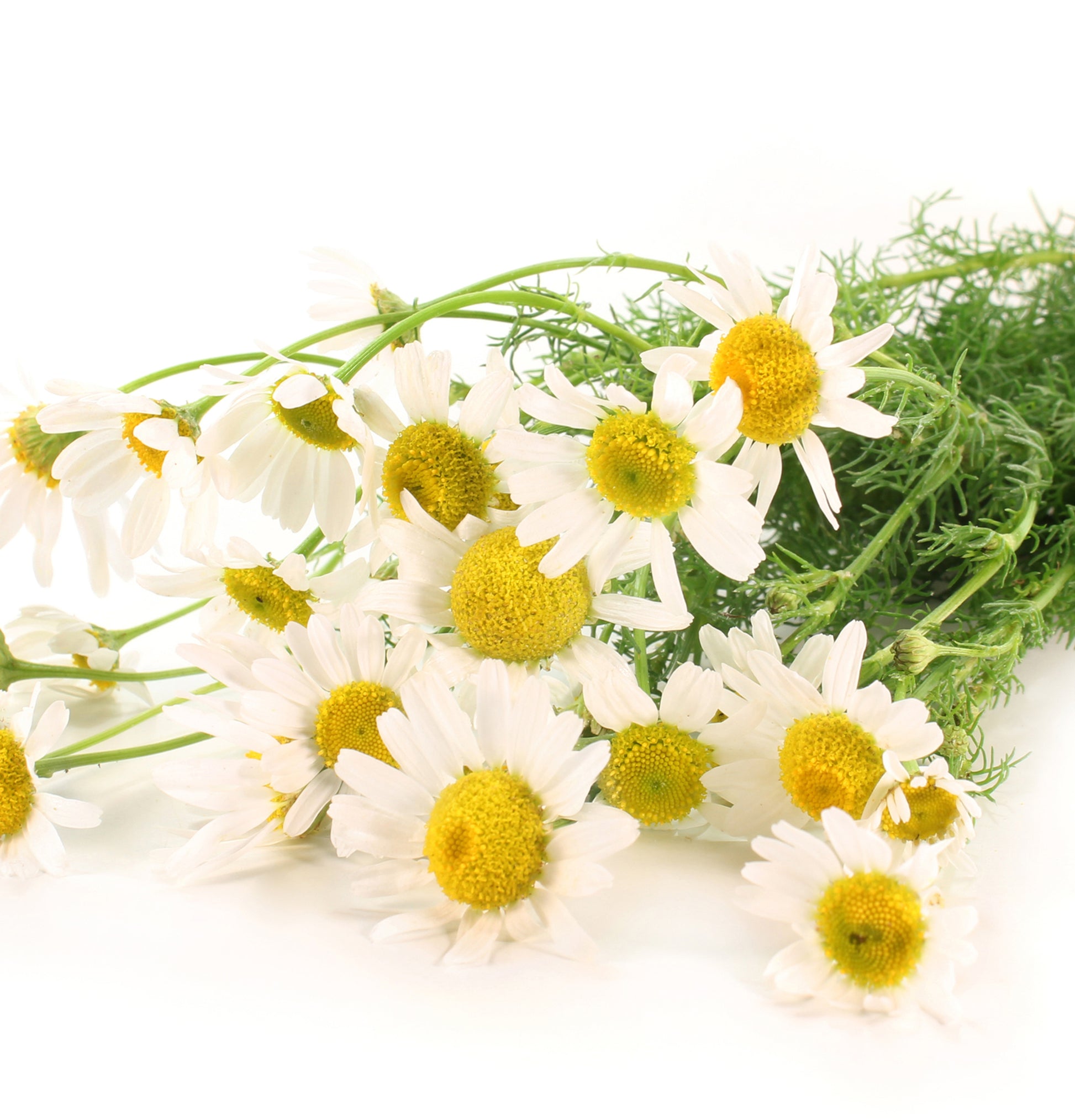 Healing Style	Dramatic Effects - View 7