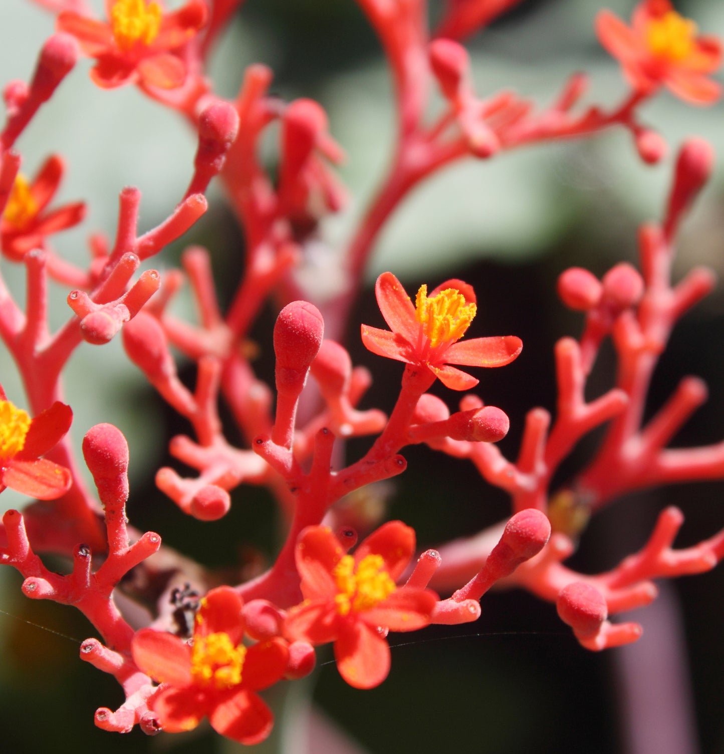 Healing Style	Molding Paste - View 5