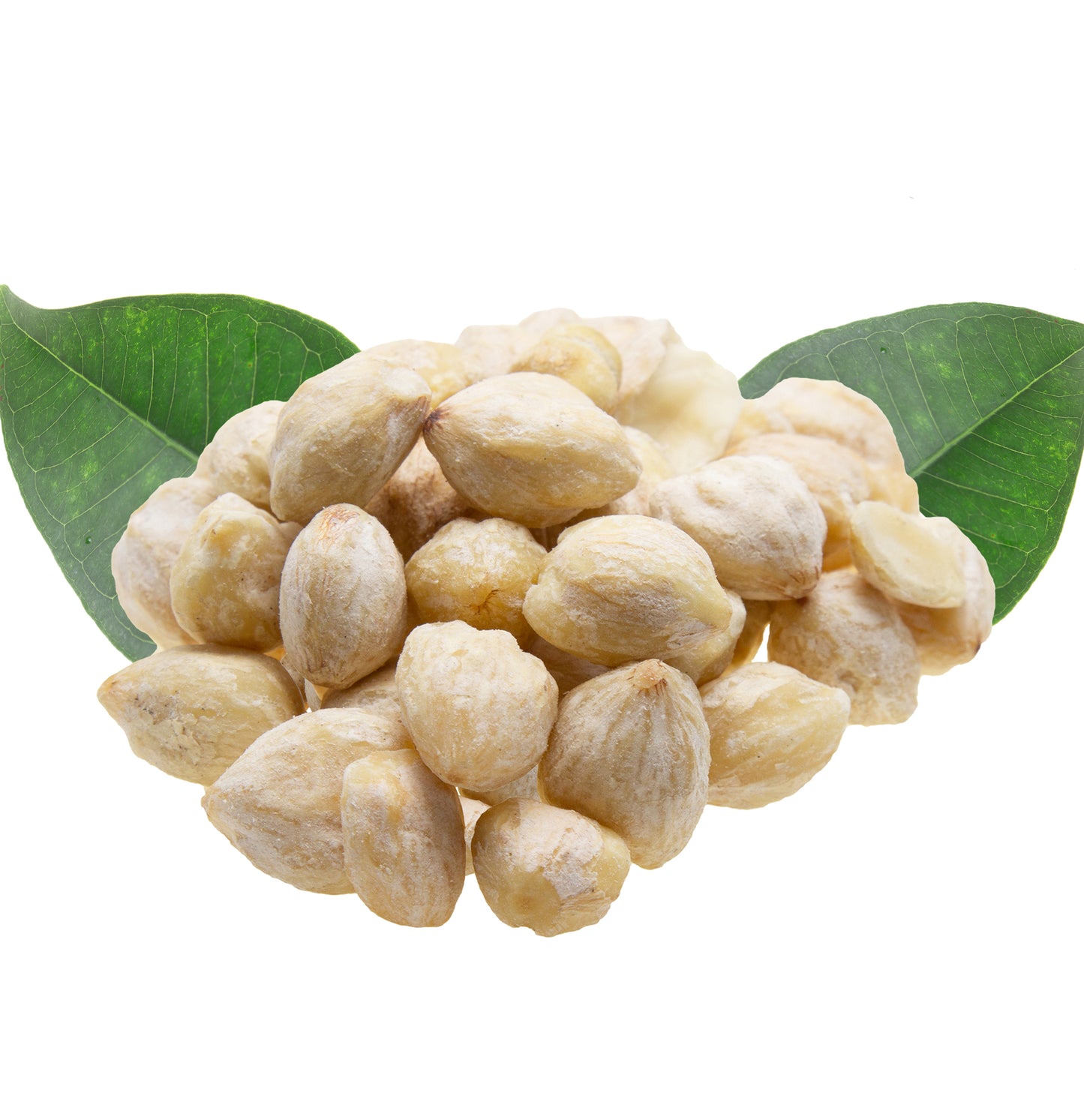 Healing Moisture Shampoo - View 9