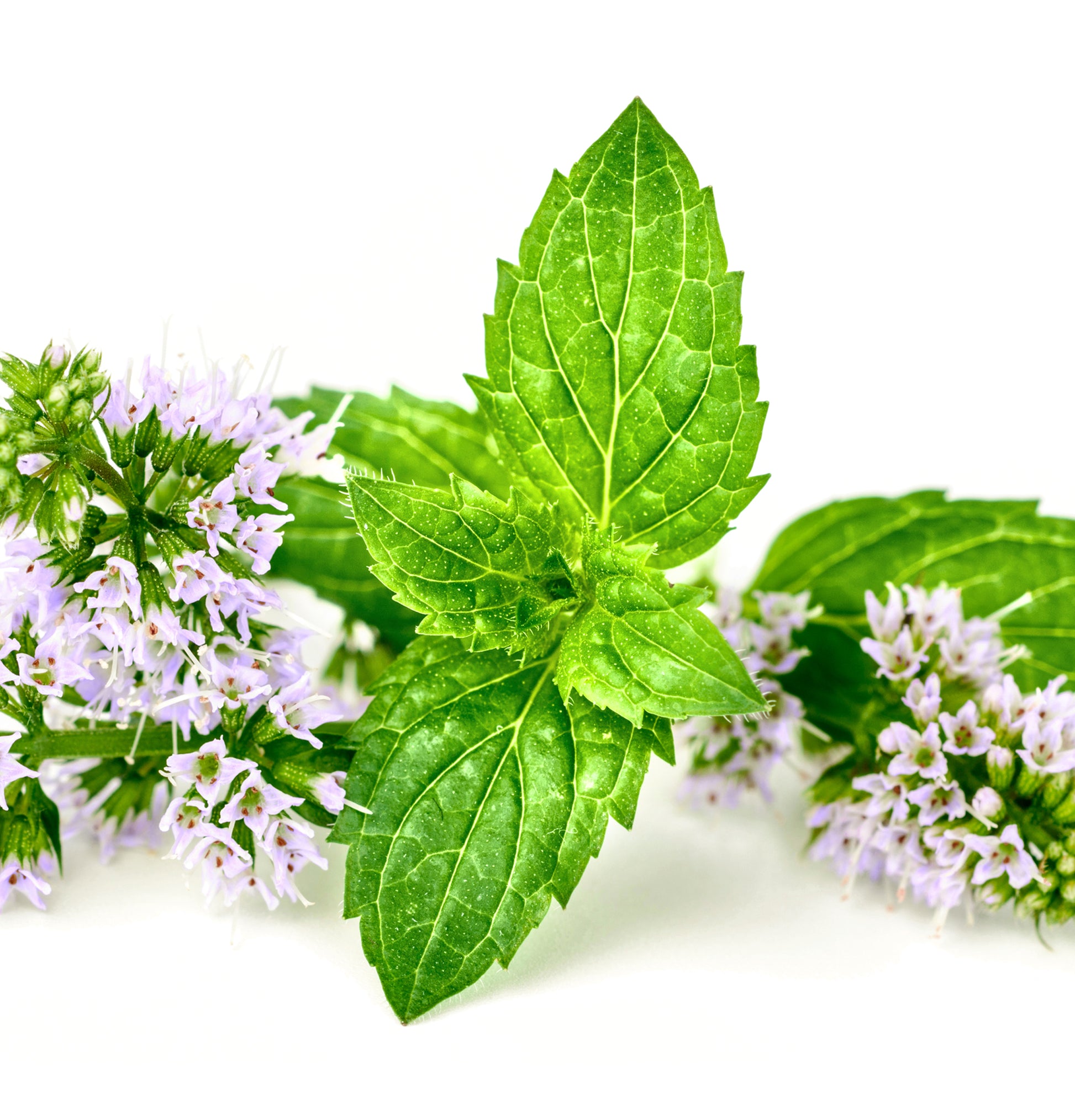 Healing Style	Dramatic Effects - View 8