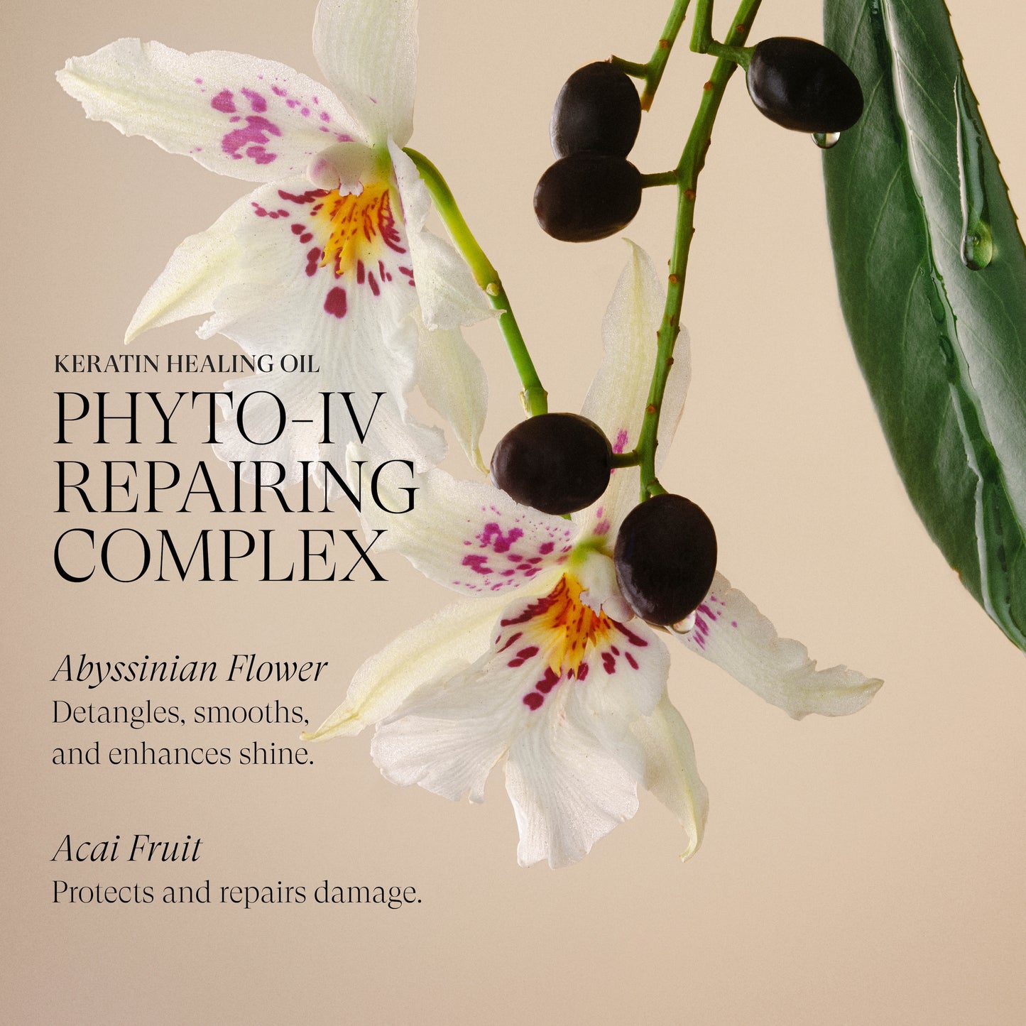 Keratin Healing Oil Holiday 2025