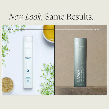 Healing Strength Holiday 2025