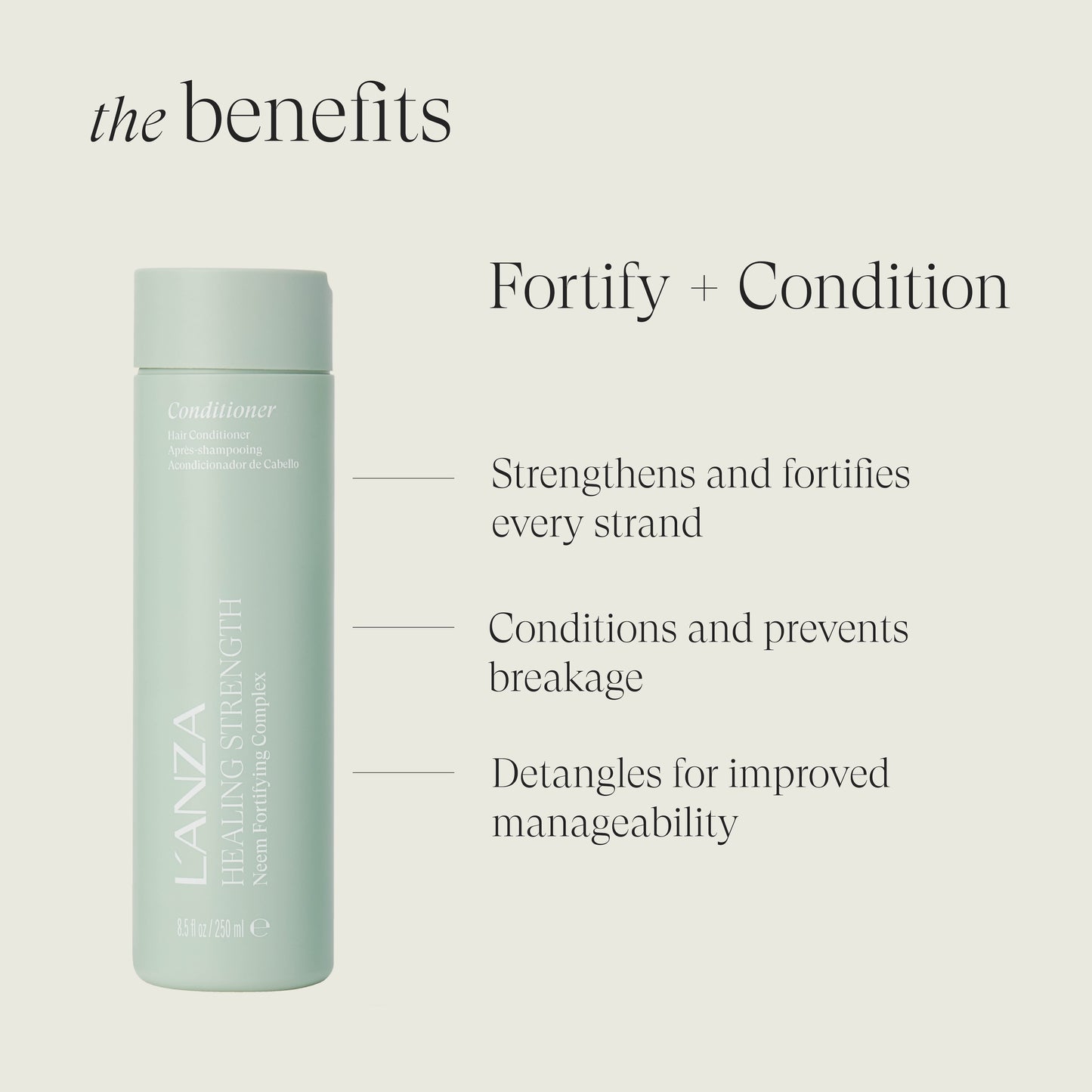 Healing Strength Holiday 2025