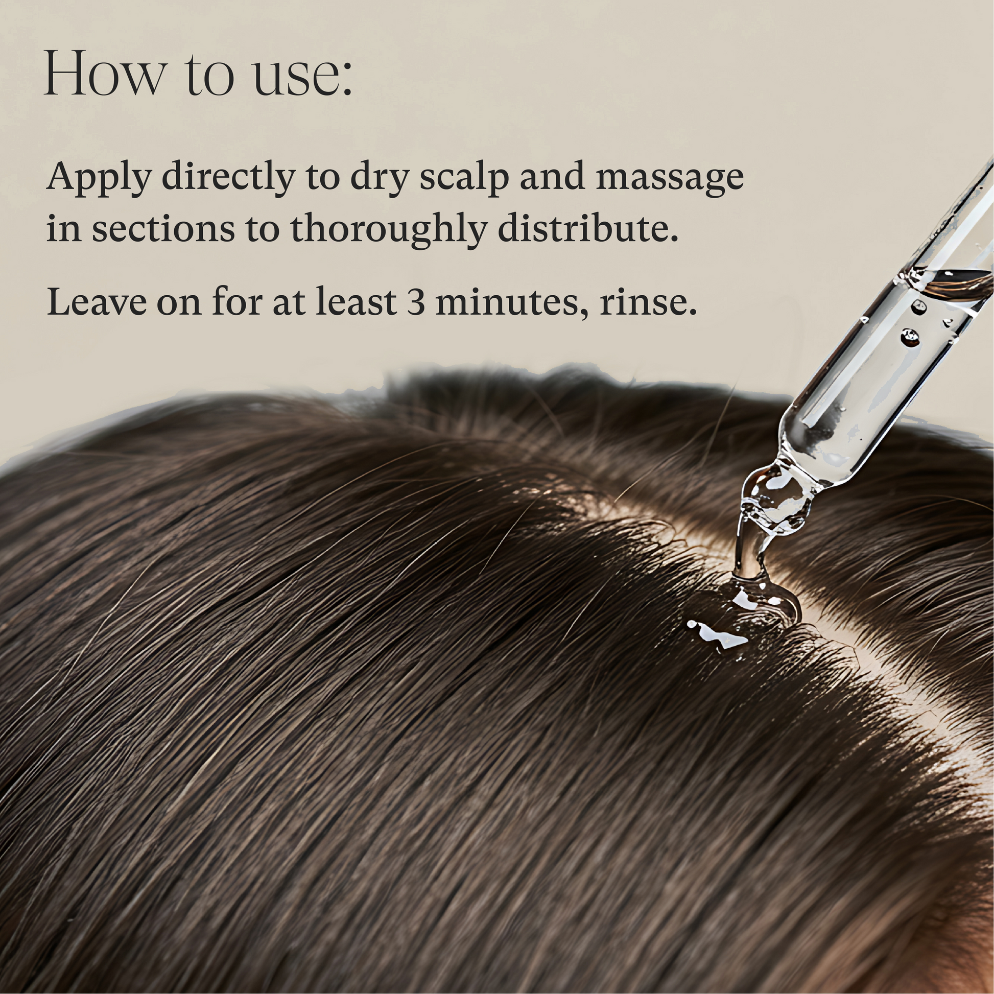 Scalp Therapy Balancing Pre-Wash Oil – L'ANZA