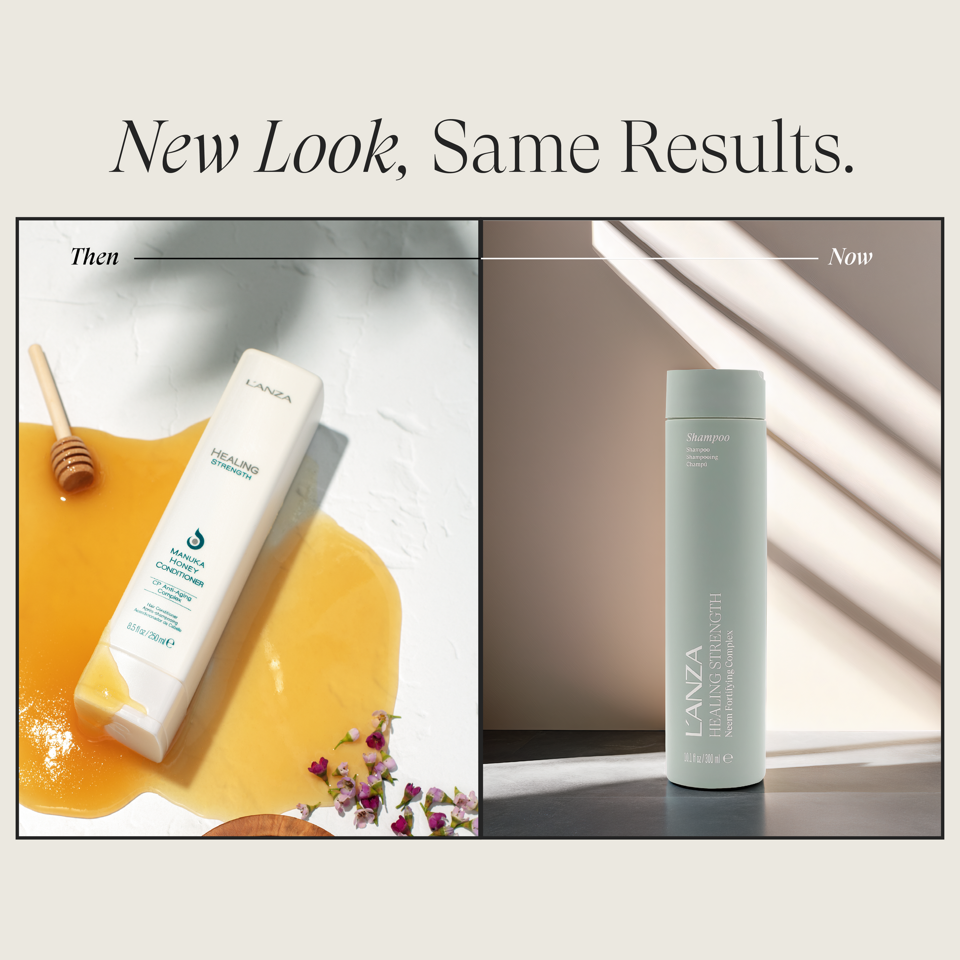 Healing Strength Conditioner | L'ANZA Healing Strength Conditioner | L'ANZA