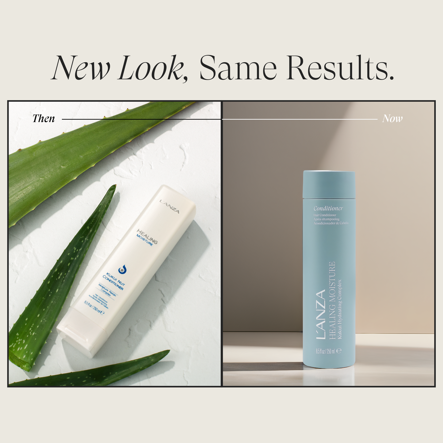 Healing Moisture Conditioner