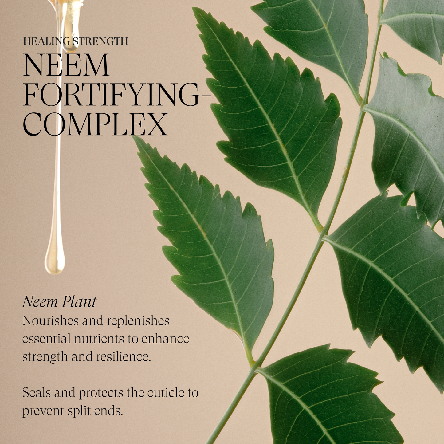 Healing Strength Detangling Primer