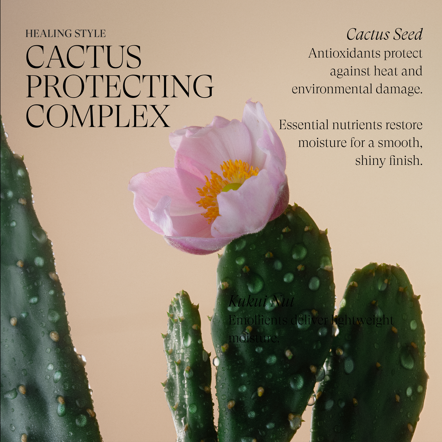 Healing Style	AirPaste - View 4