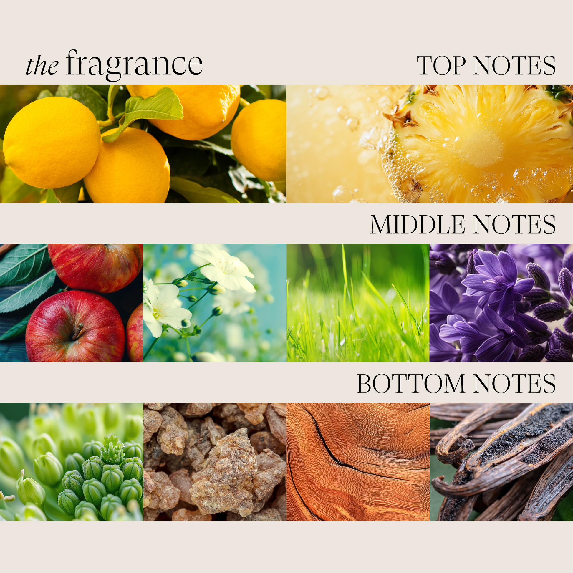 Image of Color Preserving Shampoo - View 10