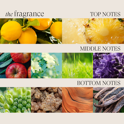 Color Preserving Shampoo