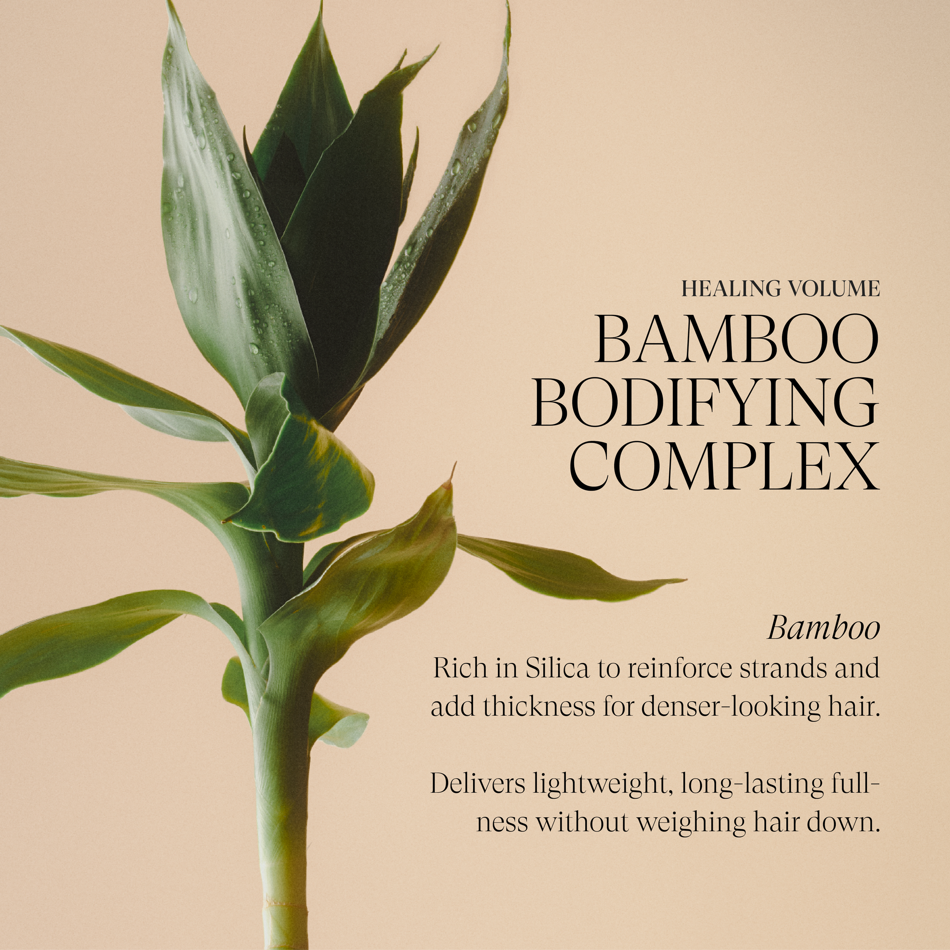 lucky bamboo gel L'ANZA Healing Volume Zero Weight Gel 6.8 oz