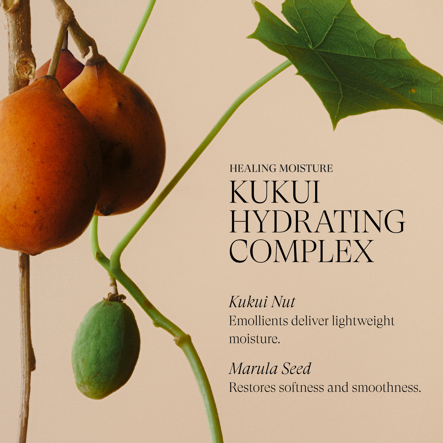 Moi Moi Hair Masque - View 4