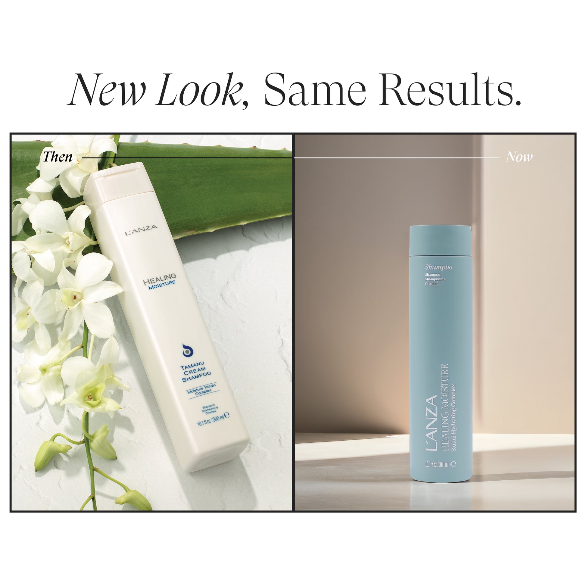 Image of Healing Moisture Shampoo - View 2