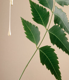 Neem Fortifying Complex