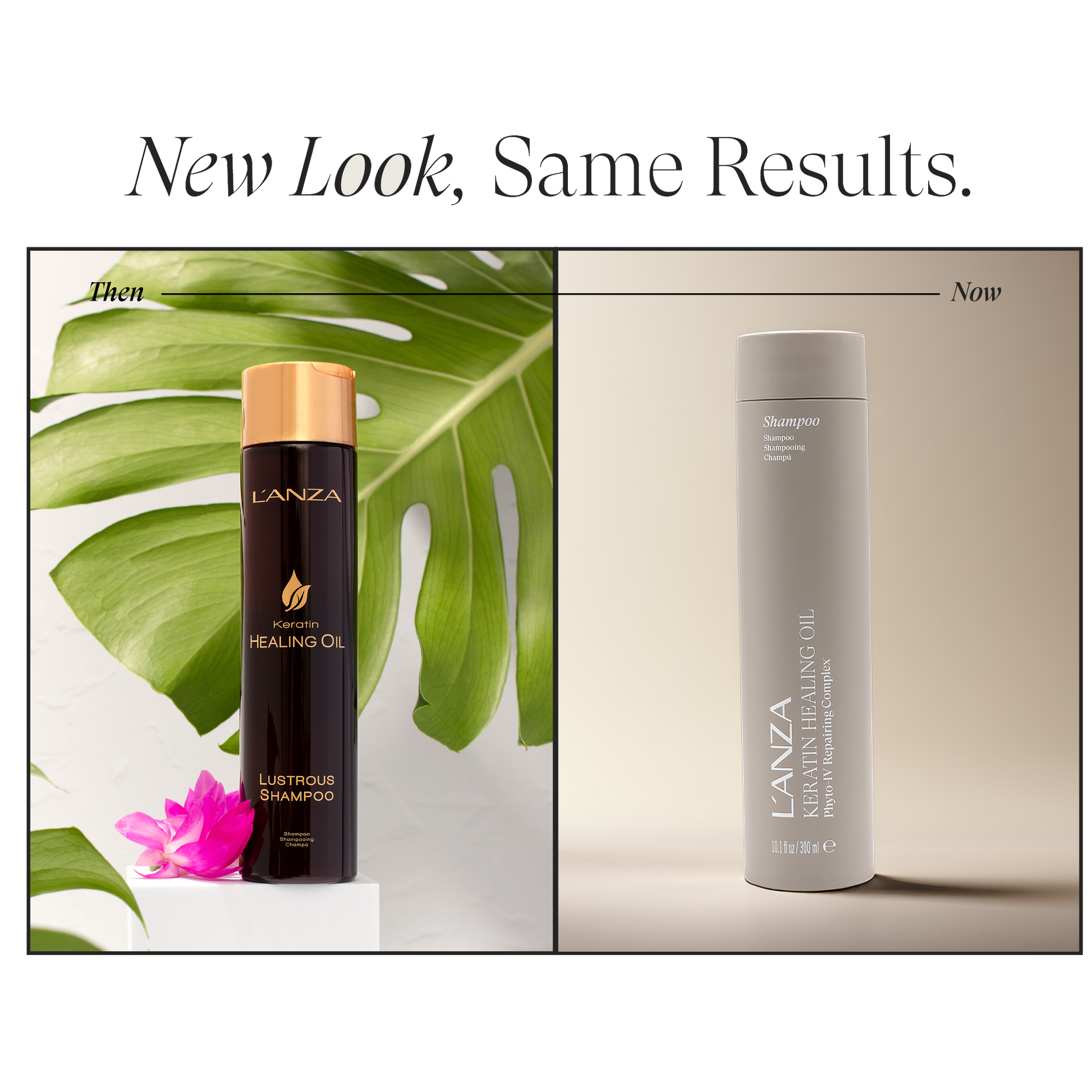 Image of Lustrous Shampoo - View 2