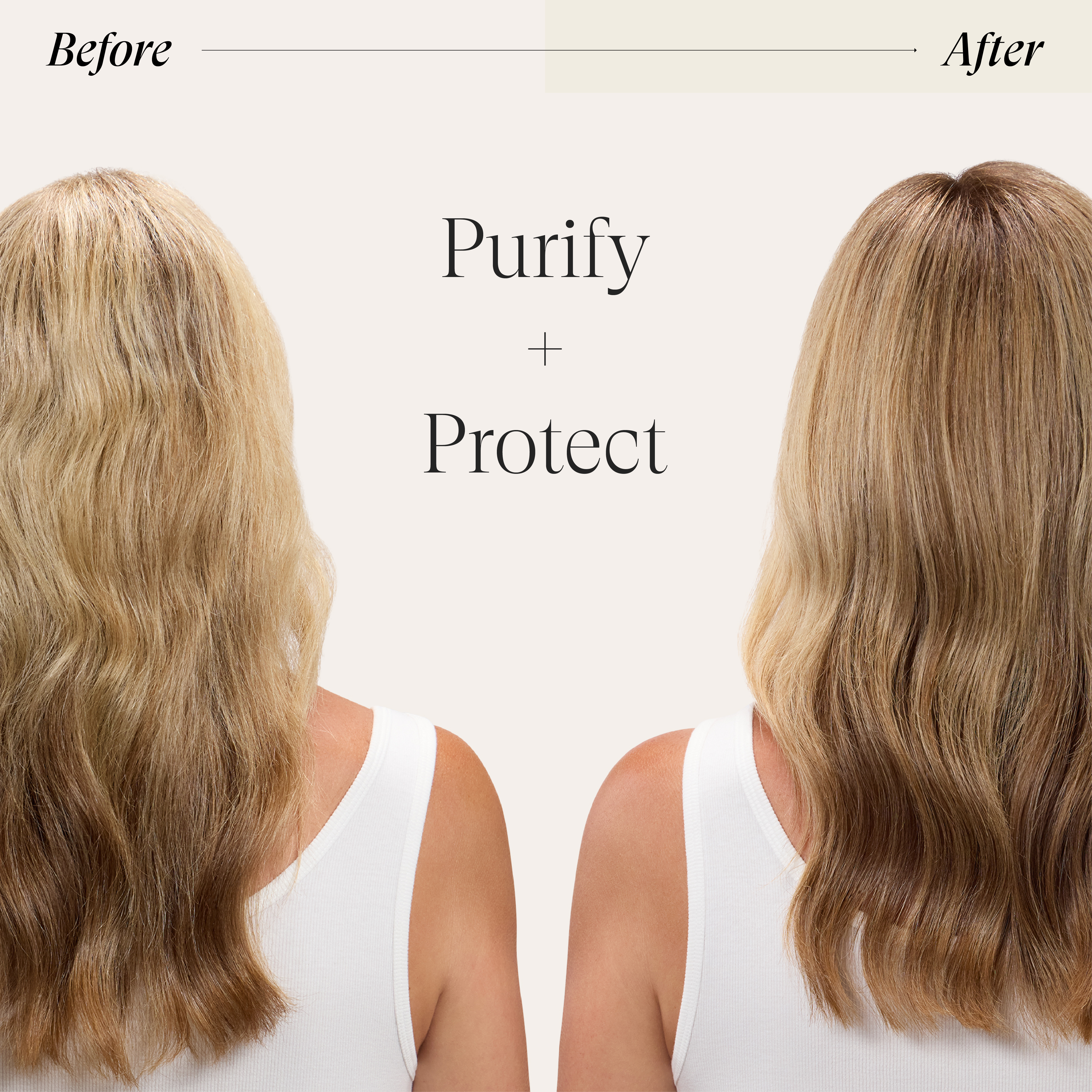 Hibiscus Vibrancy Complex