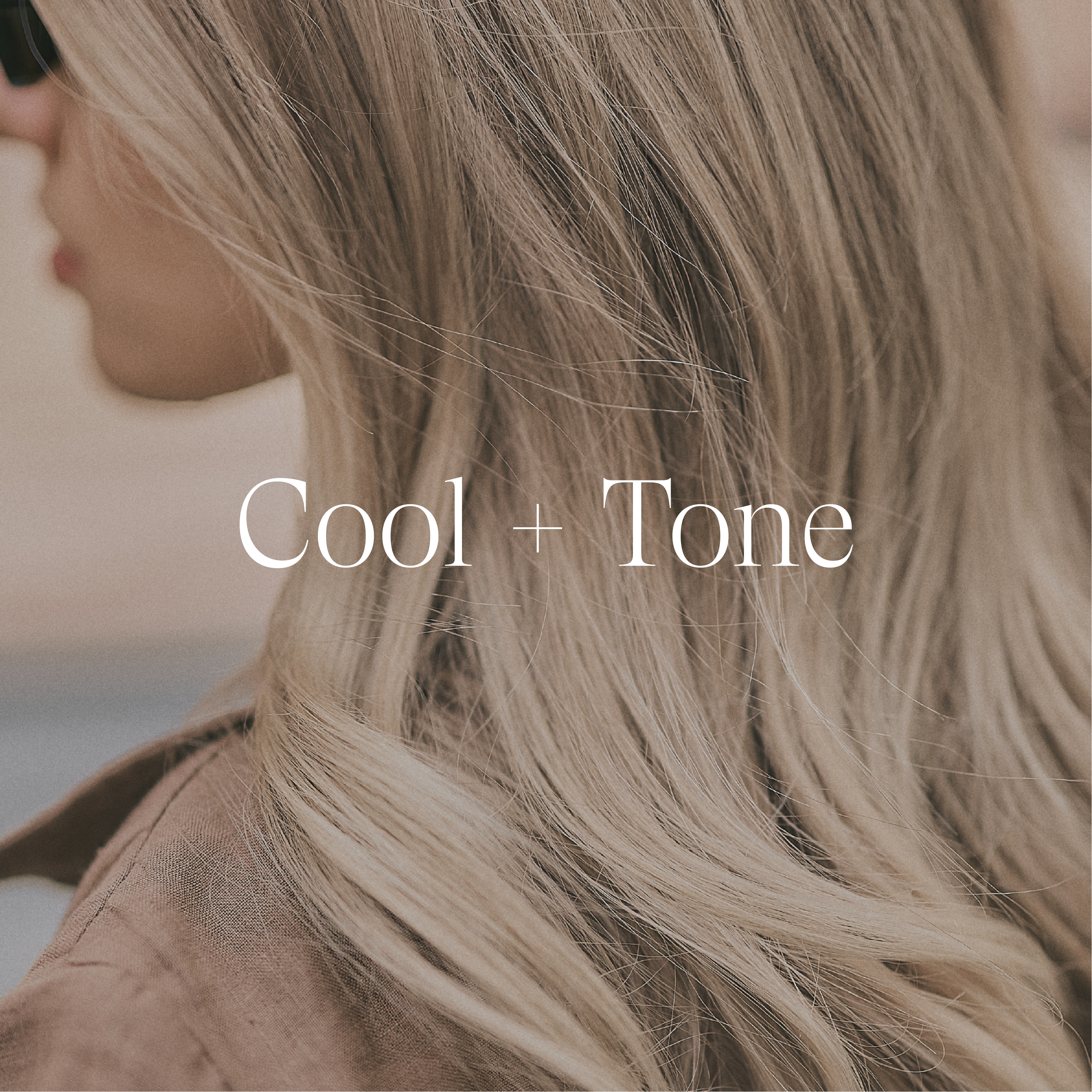 Hibiscus Vibrancy Complex