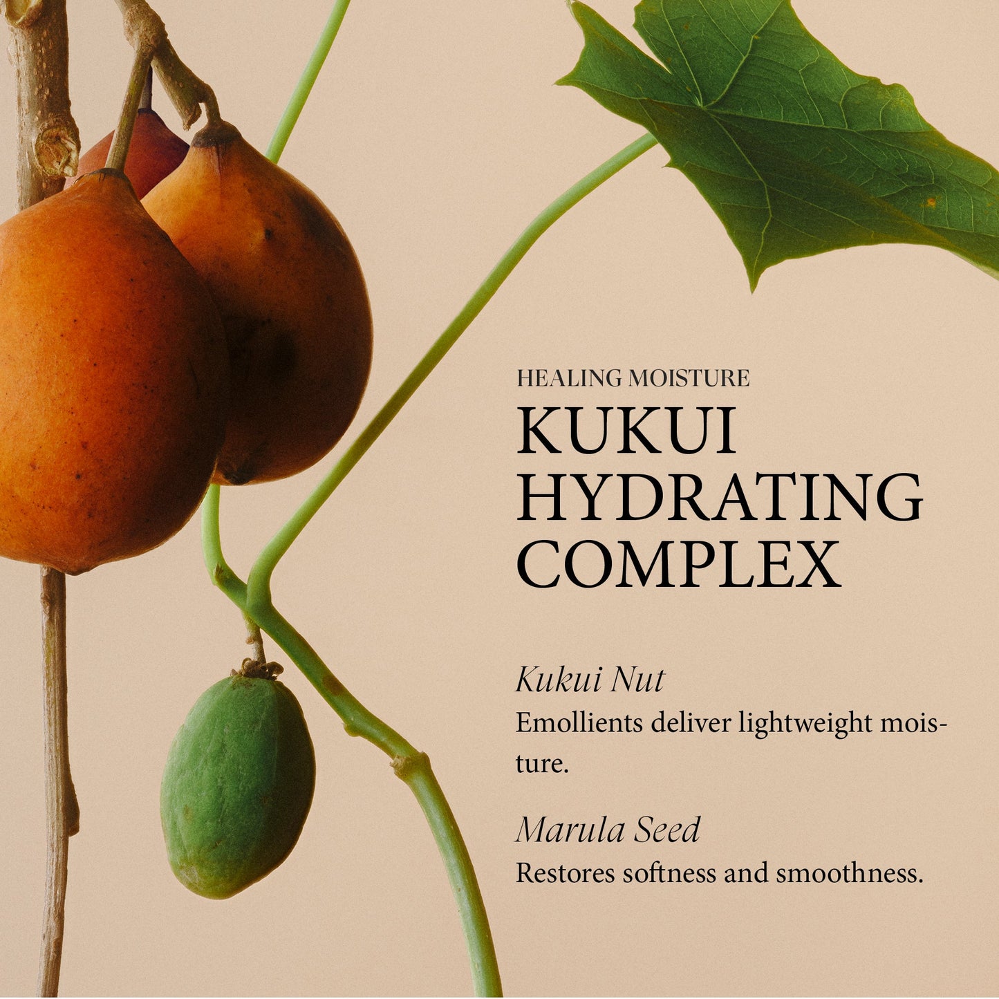 Hydrate + Soften Shampoo and Conditioner Duo