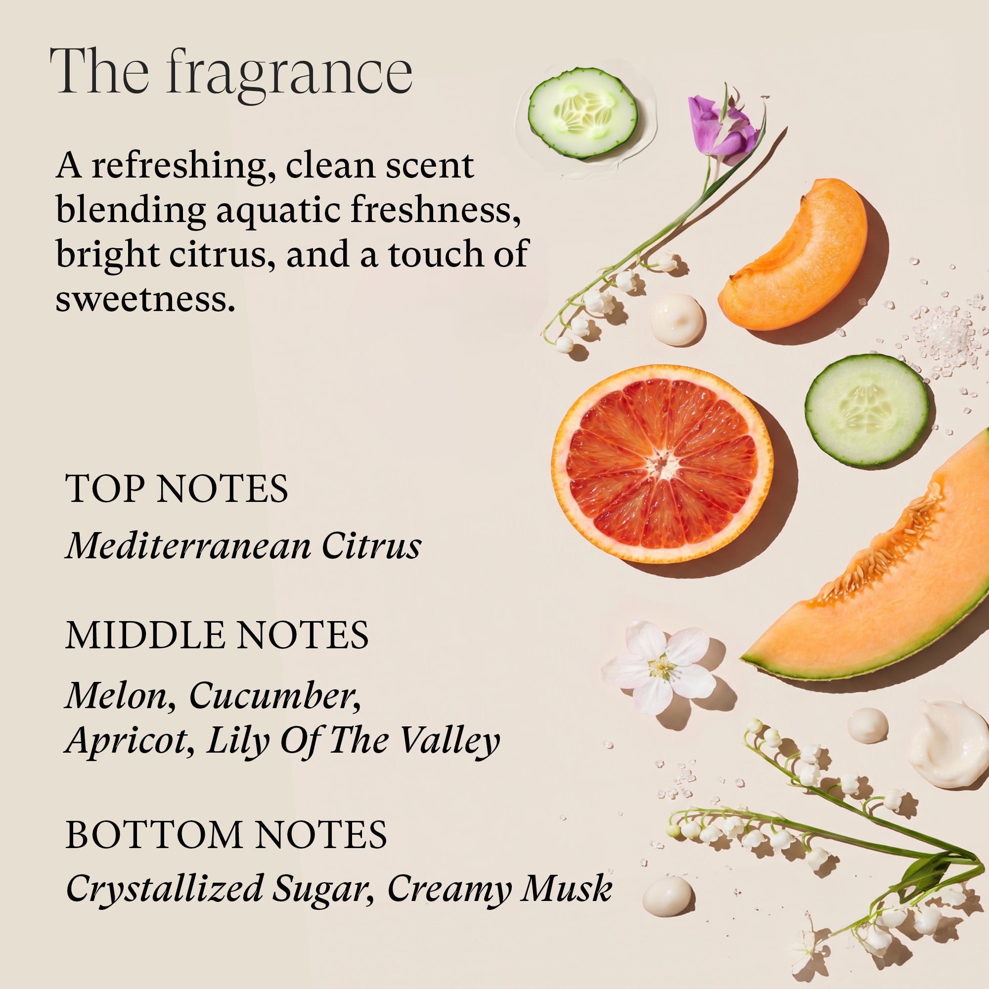 Healing Strength Holiday Trio – L'ANZA