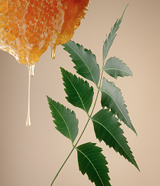 Phyto-IV Repairing Complex