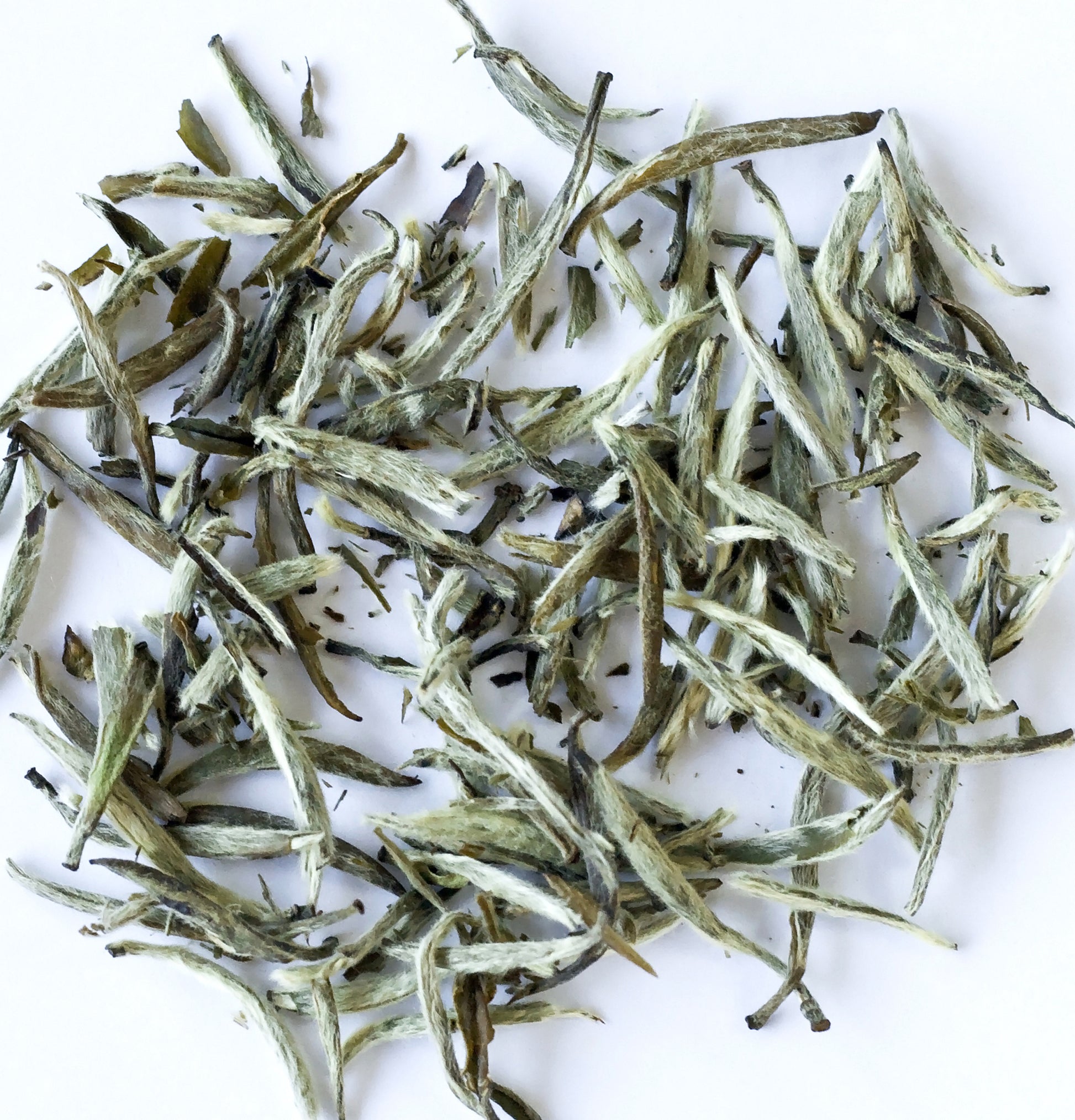 Image of White Tea Shampoo - View 6
